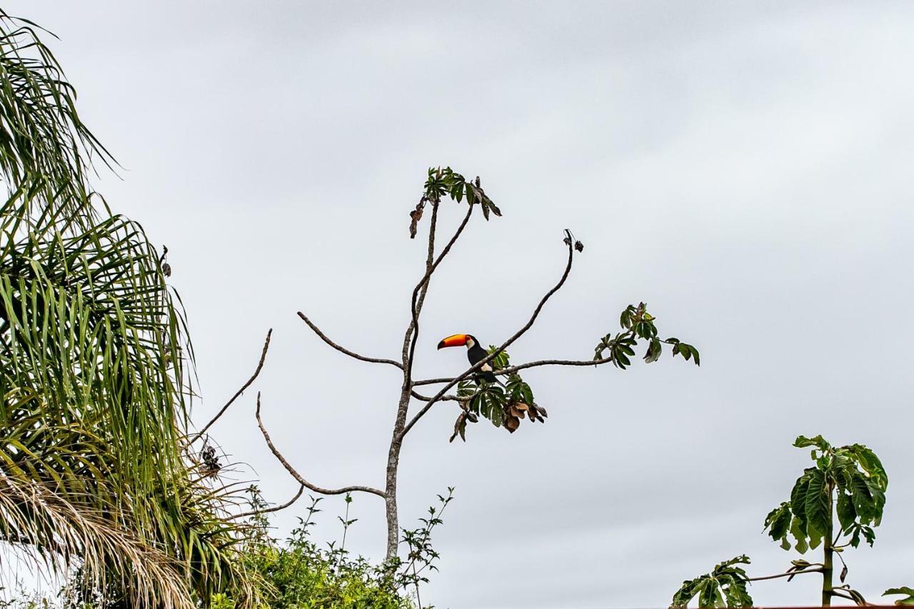 Belo Vale -